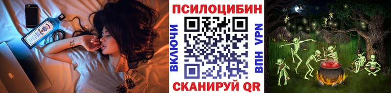 Галлюциногенные грибы Cubensis  Купить  Льгов 